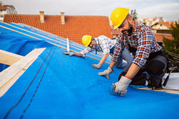 Roof Gutter Cleaning in Russell, KY